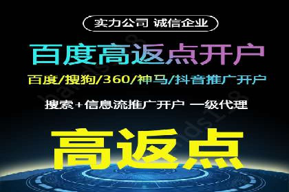 托管竞价sem案例分享：某电商平台的成功之路